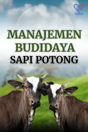 Manajemen Budidaya Sapi Potong